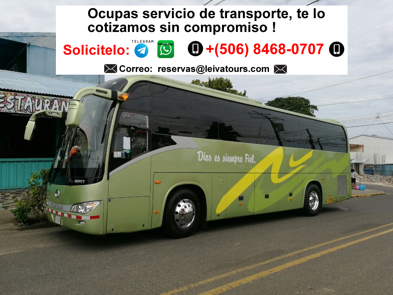 Bus grande